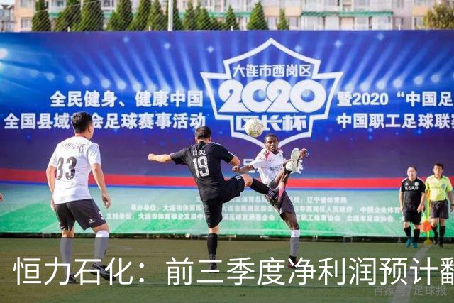 恒力石化：前三季度净利润预计翻倍增长